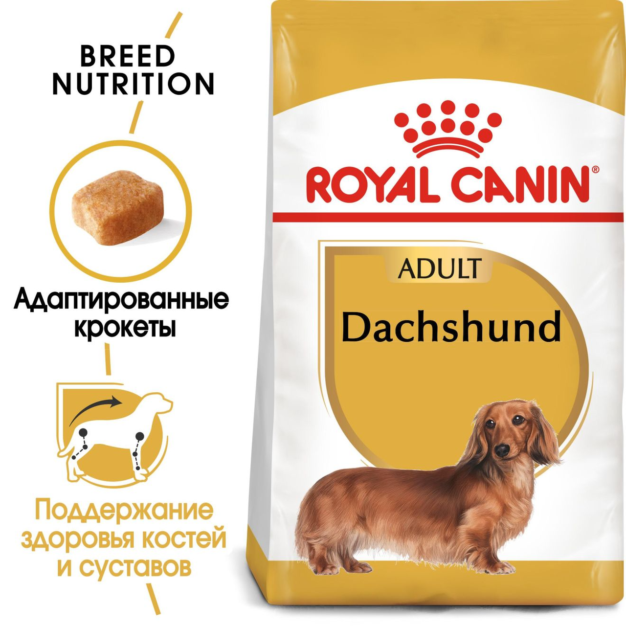 Royal Canin Dachshund Adult сухой корм для взрослых собак породы такса, 1,5кг., (Россия) - фото 2 - id-p224458889