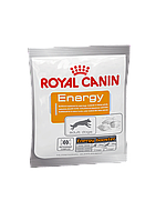 Royal Canin Energy сухой корм (лакомство) для взрослых собак, 50г., (Франция)