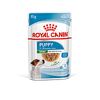 Royal Canin Mini Puppy влажный корм (в соусе) для щенков собак мелких размеров, 85г., (Австрия)