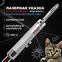 Лазерная указка для кошек и собак с карабином и фонариком, серебристая. Зоотовар для игры с домашним питомцем