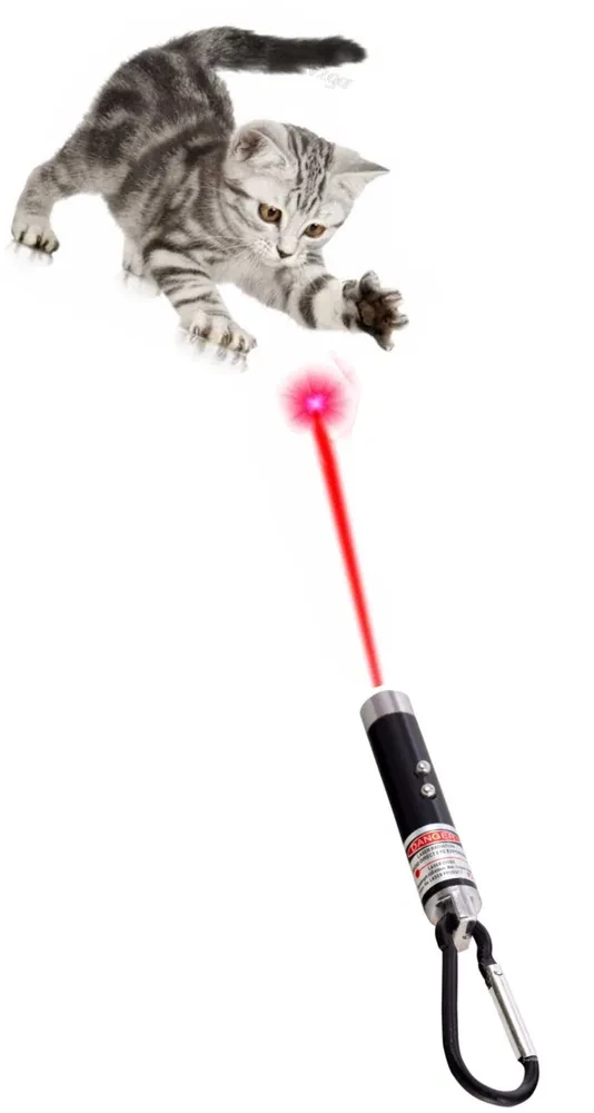 Лазерная указка для кошек и собак с карабином и фонариком, черная. Зоотовар для игры с домашним питомцем - фото 5 - id-p224460157