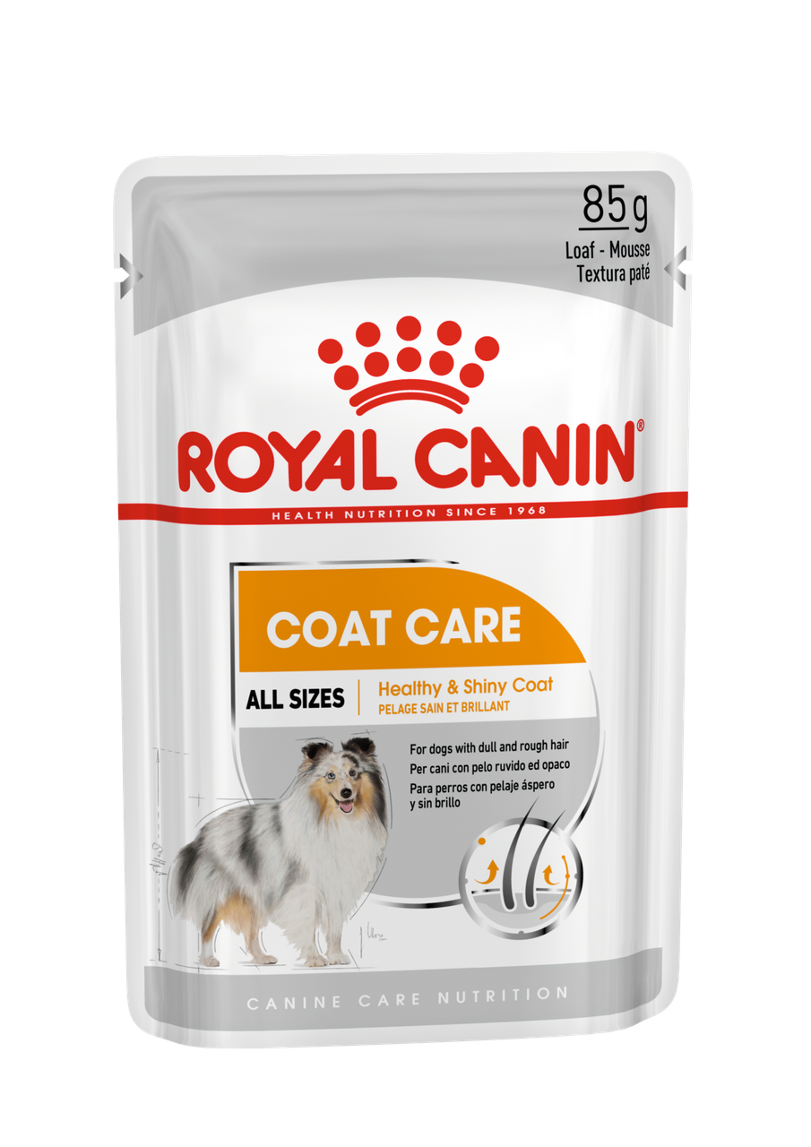Royal Canin Coat Care влажный корм для взрослых собак в возрасте 10 месяцев и старше, 85г., (Австрия)