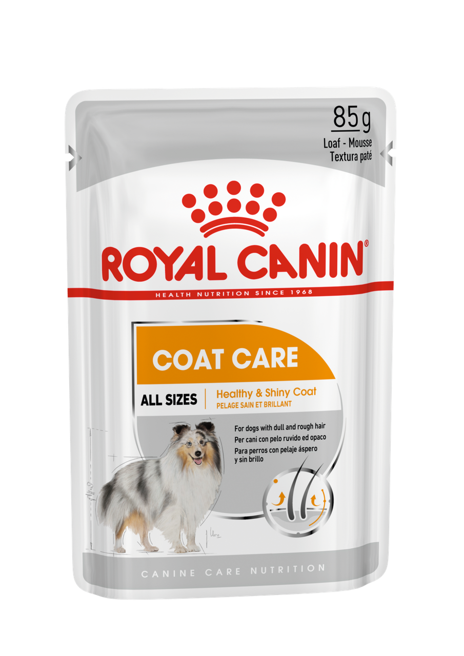 Royal Canin Coat Care влажный корм для взрослых собак в возрасте 10 месяцев и старше, 85г., (Австрия) - фото 1 - id-p224461319