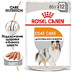 Royal Canin Coat Care влажный корм для взрослых собак в возрасте 10 месяцев и старше, 85г., (Австрия), фото 2