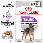 Royal Canin Sterilised Canin Adult влажный корм (в паштете) для взрослых стерилизованных собак, 85г.,(Австрия), фото 2