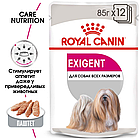 Royal Canin Exigent Canin Adult влажный корм (в паштете) для взрослых собак старше 10 месяцев, 85г.,(Австрия), фото 2
