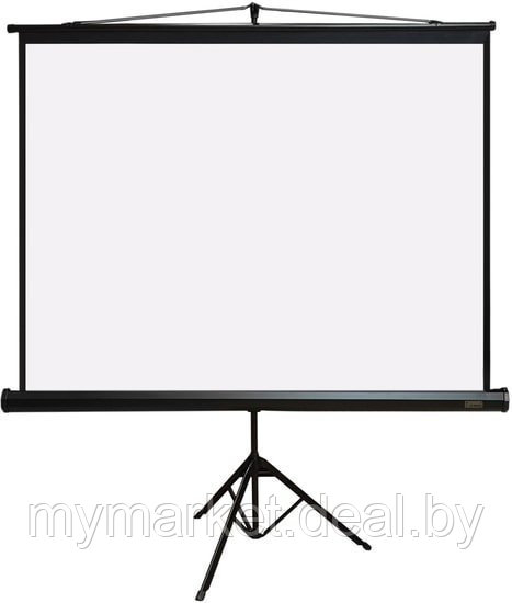 Проекционный экран на штативе PL Magna TRM-AV-60 "81 дюйм" - фото 1 - id-p224461517