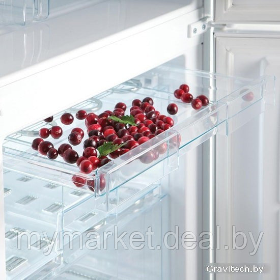 Двухкамерный холодильник-морозильник Snaige RF56SM-S5MP2F - фото 6 - id-p224461629