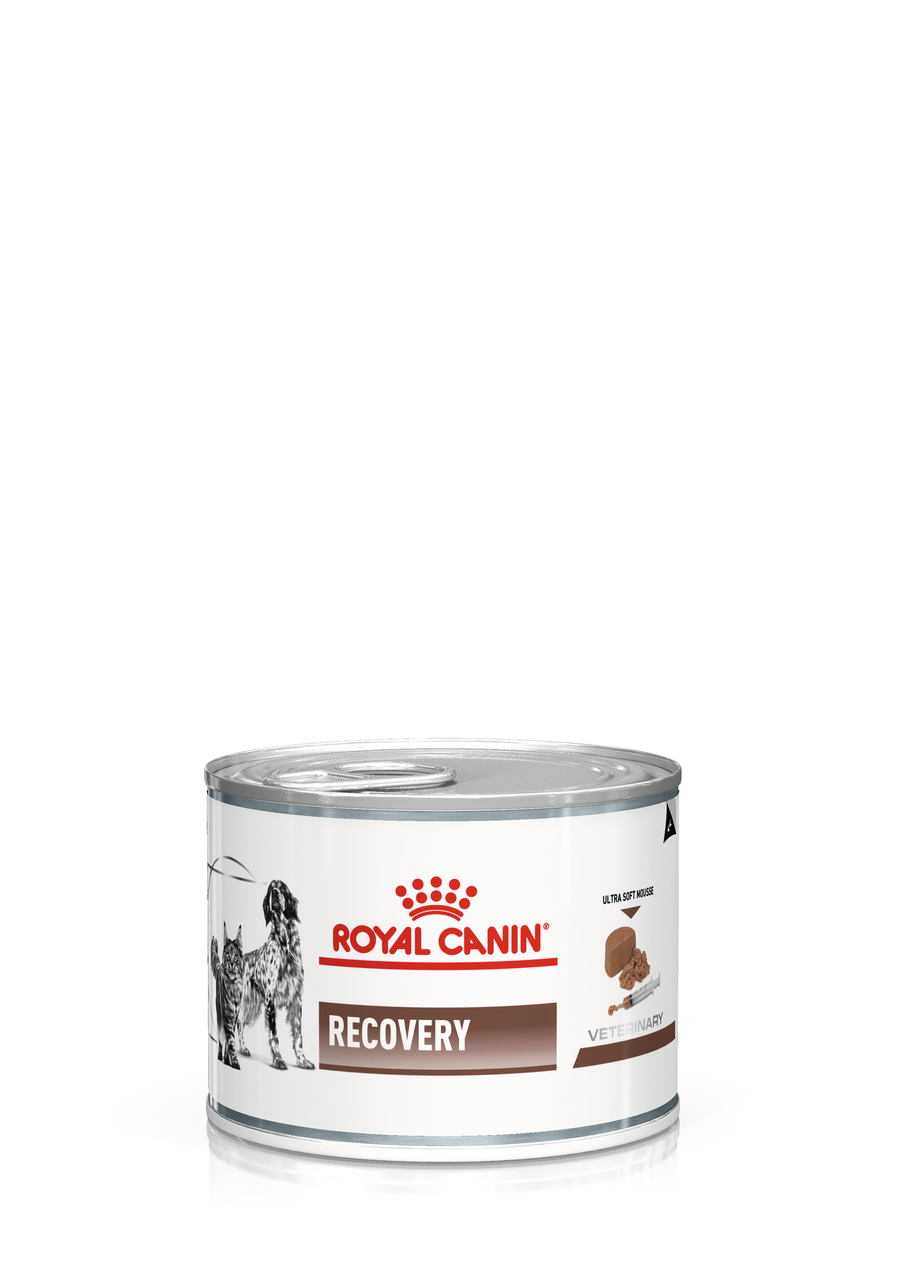 Royal Canin Recovery влажный диетический корм (мусс) для взрослых собак и кошек, 195г., (Австрия)