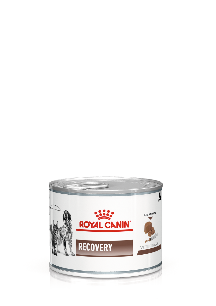 Royal Canin Recovery влажный диетический корм (мусс) для взрослых собак и кошек, 195г., (Австрия) - фото 1 - id-p224469809