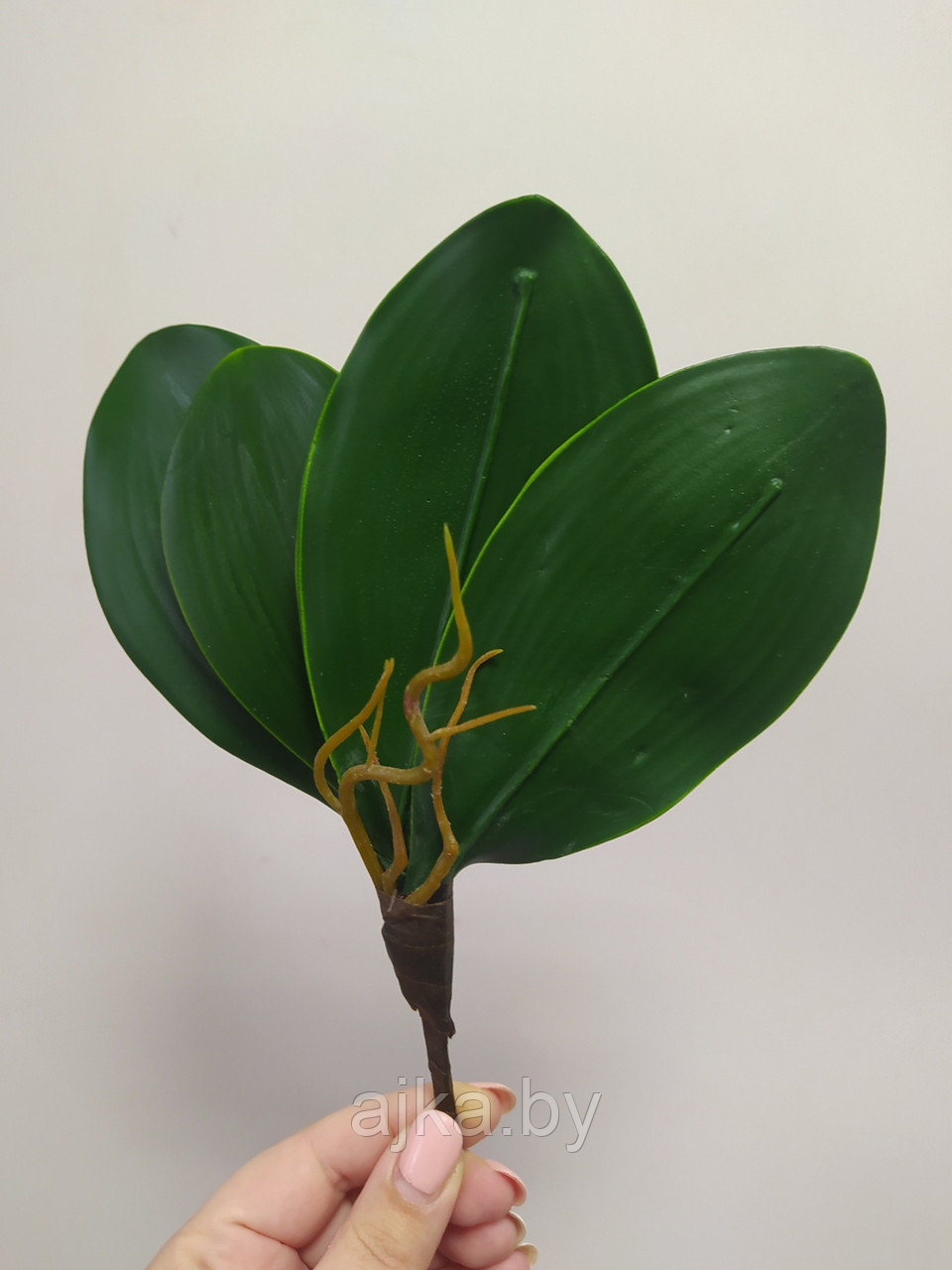 Листья орхидеи искусственные 22 см - фото 4 - id-p224469915