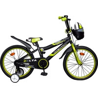 Детский велосипед Delta Sport 20 (черный/зеленый, 2019) - фото 1 - id-p224469912