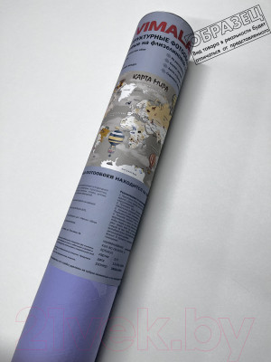 Фотообои листовые Vimala Карта мира голубая - фото 4 - id-p224477923