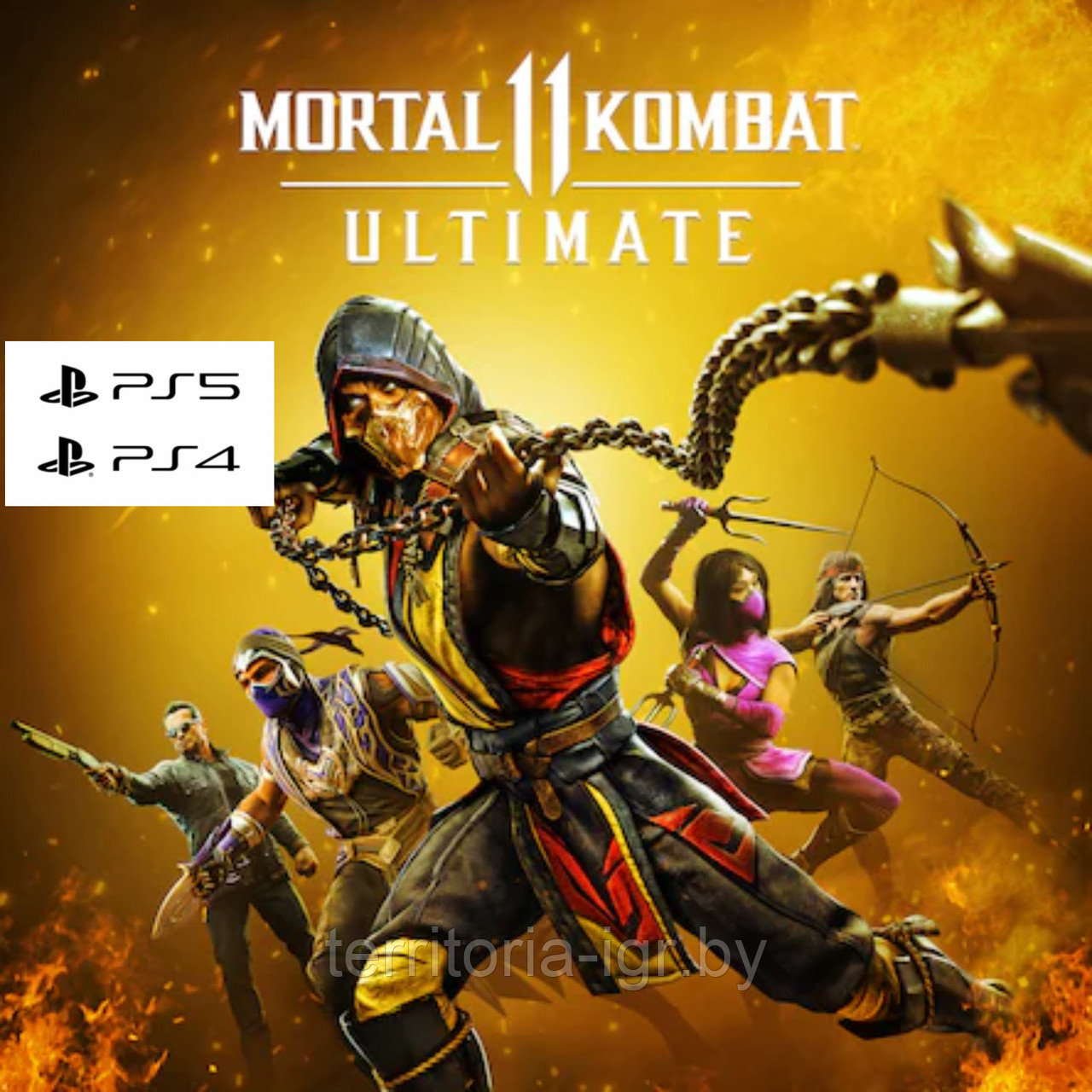 Mortal Kombat 11 Ultimate / MK 11 PS4-PS5 (Русские субтитры)