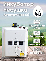 Инкубатор Несушка-77-ЭВГА+12В н/н 63Вг