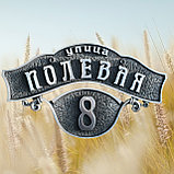 Адресная табличка, домовой знак (шильда) АТ-2, фото 3