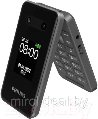 Мобильный телефон Philips Xenium E2602 - фото 2 - id-p224496700