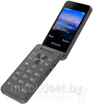 Мобильный телефон Philips Xenium E2602 - фото 3 - id-p224496700