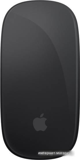 Мышь Apple Magic Mouse (черный) - фото 1 - id-p224503826