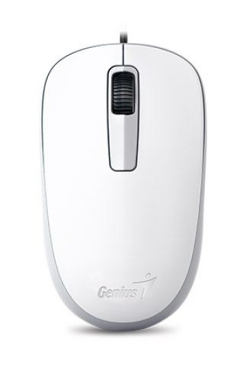 Мышь Genius DX-125 (белый) - фото 1 - id-p224503843