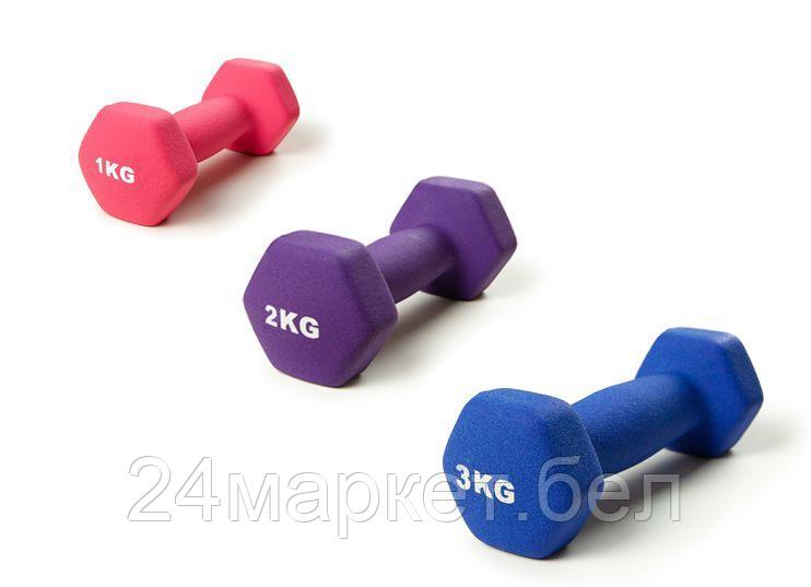 Гантель виниловая ATLAS SPORT 2 кг (фиолетовая) - фото 1 - id-p224508427