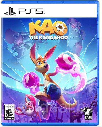 Уцененный диск - обменный фонд Kao the Kangaroo для PlayStation 5 / Кенгуру Као ПС5 - фото 1 - id-p224511713