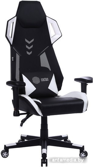 Кресло CACTUS CS-CHR-090BLW (черный/белый)