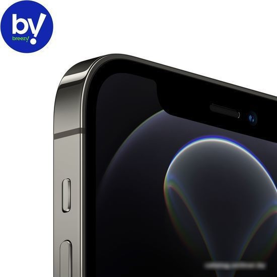 Смартфон Apple iPhone 12 Pro 256GB Восстановленный by Breezy, грейд C (графитовый) - фото 2 - id-p224521084