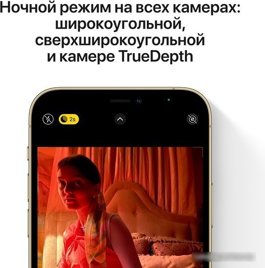 Смартфон Apple iPhone 12 Pro 256GB Восстановленный by Breezy, грейд C (графитовый) - фото 5 - id-p224521084