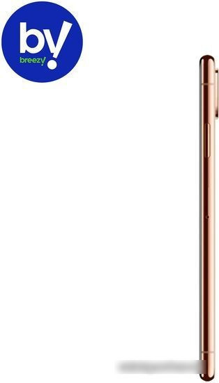 Смартфон Apple iPhone Xs 64GB Воcстановленный by Breezy, грейд B (золотой) - фото 3 - id-p224521090