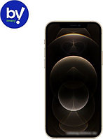 Смартфон Apple iPhone 12 Pro 512GB Восстановленный by Breezy, грейд B (золотистый)