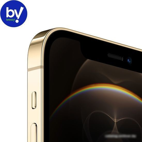 Смартфон Apple iPhone 12 Pro 512GB Восстановленный by Breezy, грейд B (золотистый) - фото 3 - id-p224521098