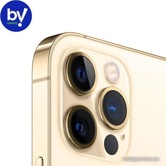 Смартфон Apple iPhone 12 Pro 512GB Восстановленный by Breezy, грейд B (золотистый) - фото 4 - id-p224521098