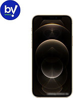 Смартфон Apple iPhone 12 Pro 512GB Восстановленный by Breezy, грейд A (золотистый)