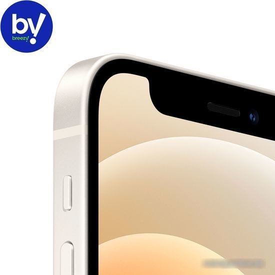 Смартфон Apple iPhone 12 mini 256GB Восстановленный by Breezy, грейд B (белый) - фото 3 - id-p224521142