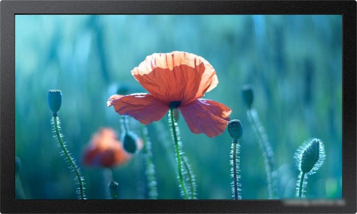 Интерактивная панель Samsung QB13R - фото 1 - id-p224524487