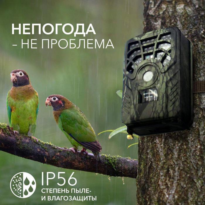 Фотоловушка для охоты охраны дачи с датчиком движения Охотничья лесная камера наблюдения за животными - фото 5 - id-p224444337