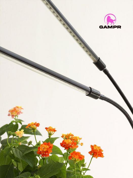Фитолампа для рассады 2 лампы фитосветильник для растений цветов на прищепке - фото 8 - id-p224444563
