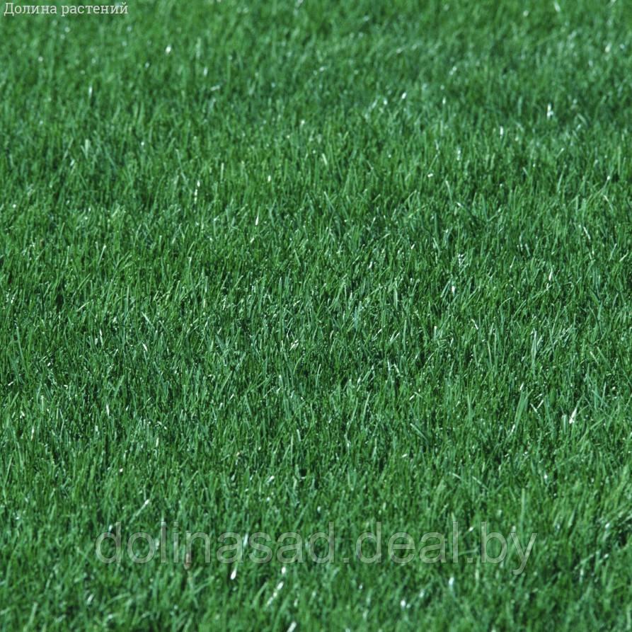 Агрофирма Поиск Газонная трава Смесь для спортивной площадки SPORT, 1 кг