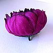 Голова Пиона 9 см, фиолетовый, фото 2
