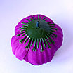 Голова Пиона 9 см, фиолетовый, фото 3