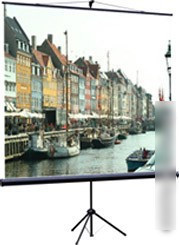 Проекционный экран Classic Solution Libra 220x220 [T 220x220/1 MW-SS/B] - фото 1 - id-p224532348