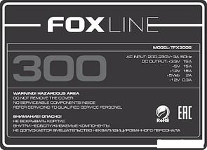 Корпус Foxline FL-1001 FL-1001-TFX300S, фото 3