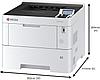 Принтер Kyocera Mita ECOSYS PA4500x 110C0Y3NL0, фото 3