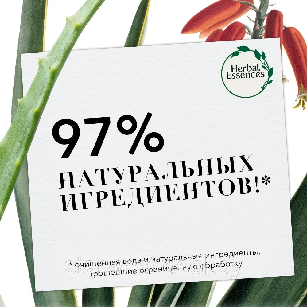 Herbal Essences Интенсивное Питание 250 мл Маска для волос питательная с алоэ и маслом авокадо - фото 6 - id-p224534515