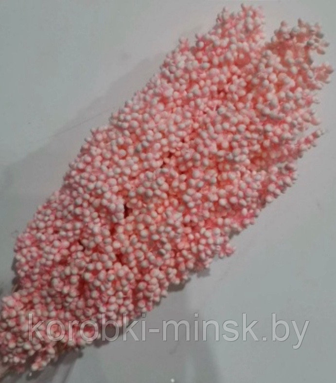 Сухоцвет "Сорго" Св.розовый, длина 70-80 см, 130-180 гр/упак