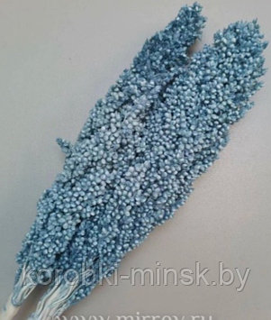 Сухоцвет "Сорго" Светло-голубой, длина 70-80 см, 130-180 гр/упак