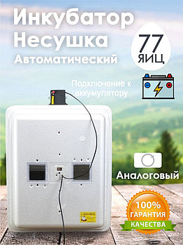 Инкубатор Несушка-77-А+12В н/н 76