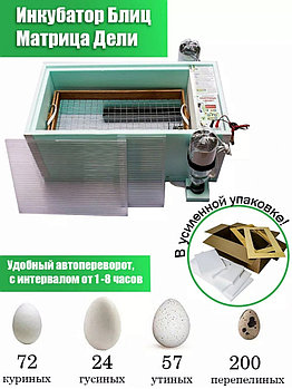 Инкубатор «Матрица-Дели»