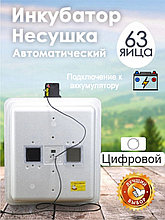 Инкубатор Несушка-63-ЭА+12 н/н 46